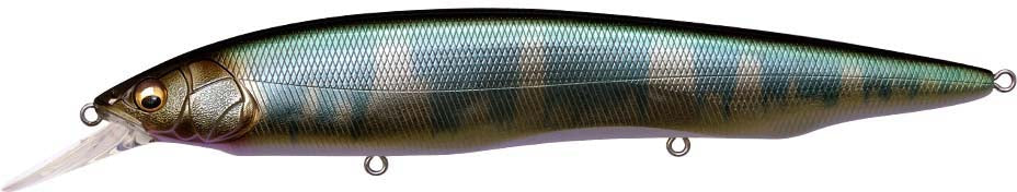 Megabass Kanata +1 Jerkbait