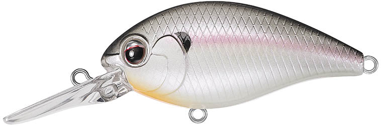 Evergreen International CR-10 Deep Diving Crankbait