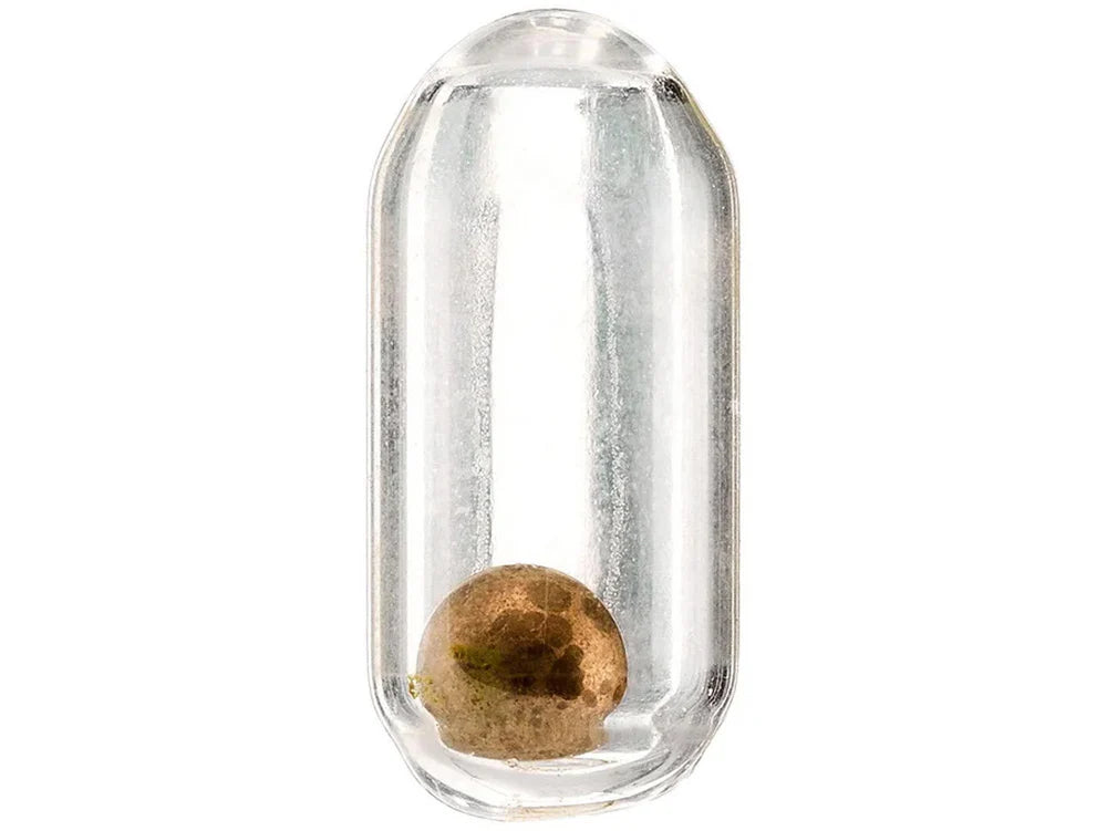 Yum Glass Rattles - 10 Pack