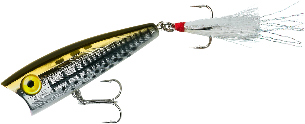 Rebel Pop-R Topwater Popper