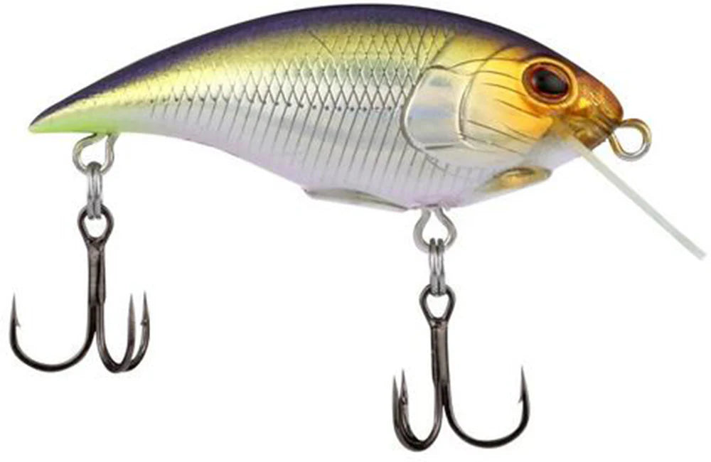 Berkley Shallow Money Badger Crankbait - 1.5 Inch
