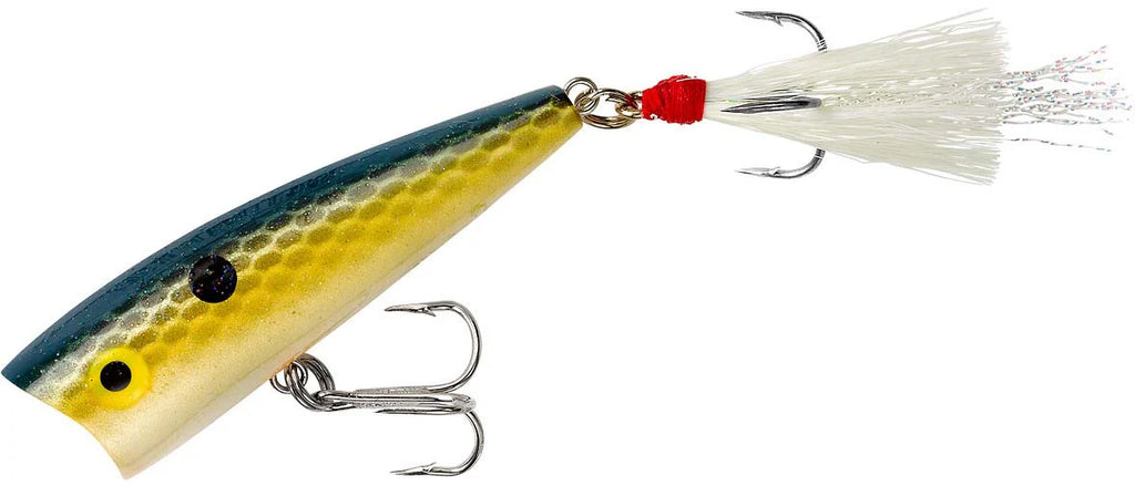 Rebel Pop-R Topwater Popper