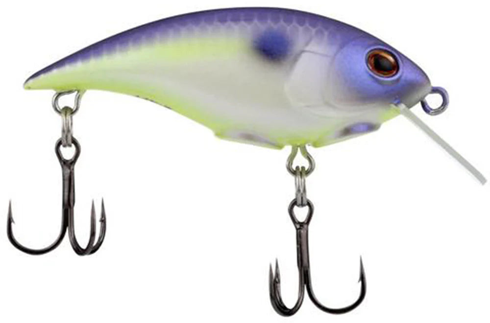 Berkley Shallow Money Badger Crankbait - 1.5 Inch