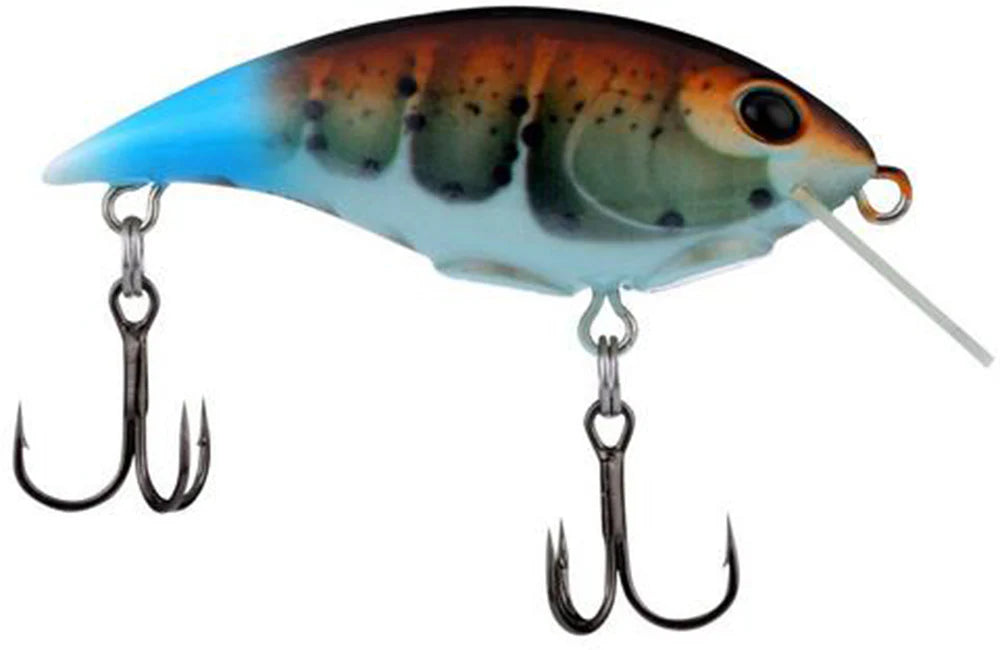 Berkley Shallow Money Badger Crankbait - 2.6 Inch